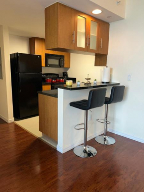 Beautiful City View Apartment